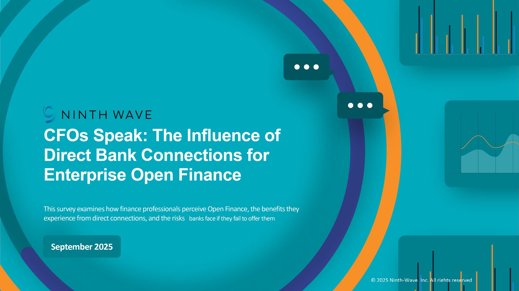 CFOs Speak